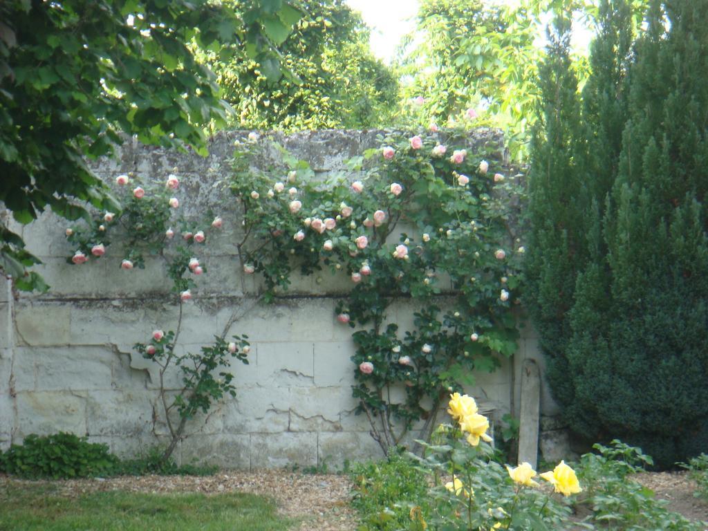 Villa Chanelle Les Rosiers-sur-Loire Bagian luar foto